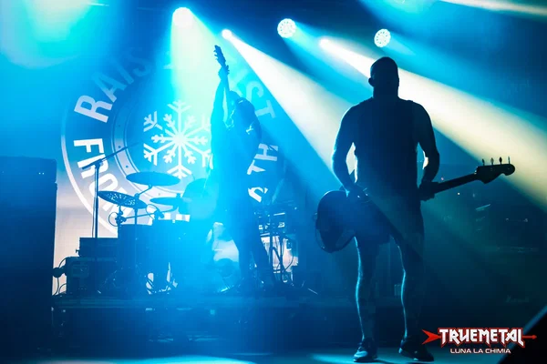 Raised Fist-1