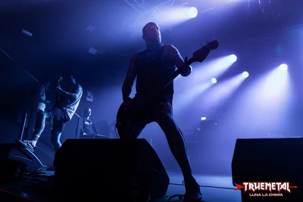 Raised Fist-2