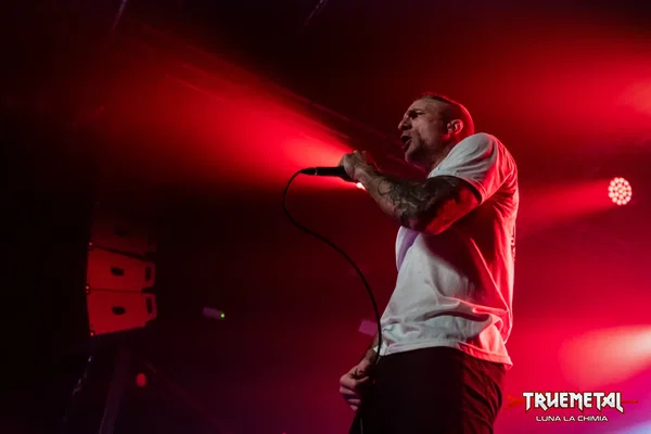 Raised Fist-3