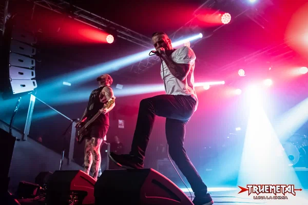 Raised Fist-5